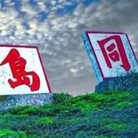TEAM TAIWAN 守護民主！守護台灣！民進黨後援會