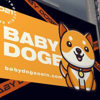 🐶BabyDogeCoin By AceCryptoThailand