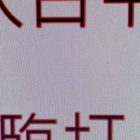 台中市臨打團