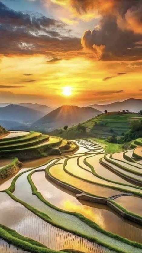 👑全台路況