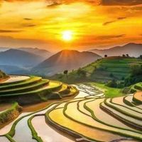 👑全台路況