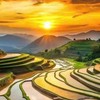 👑全台路況