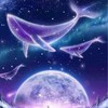 星空之下（樣品）