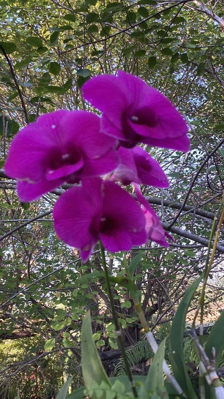 คุยกันได้้  คุยแก้เหงาาา🗣️