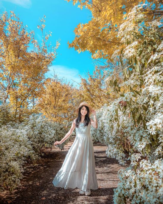 台中景點,沐心泉休閒農場