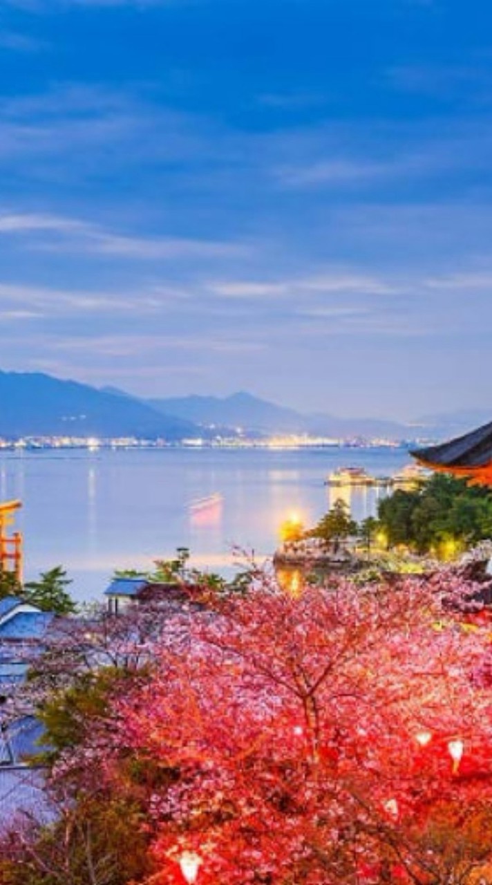 日本未来価値研究会1307