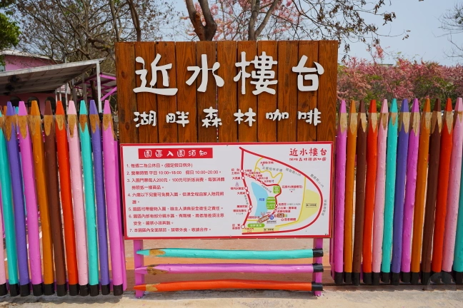 中部景點,斗六景點,斗六花旗木,近水樓台,近水樓台湖畔森林咖啡,近水樓台湖畔森林咖啡交通資訊,近水樓台湖畔森林咖啡停車場,近水樓台湖畔森林咖啡停車場花旗木,近水樓台湖畔森林咖啡門票,雲林IG打卡點,雲林景點,雲林網美景點,雲林花旗木近水樓台湖畔森林咖啡花旗木