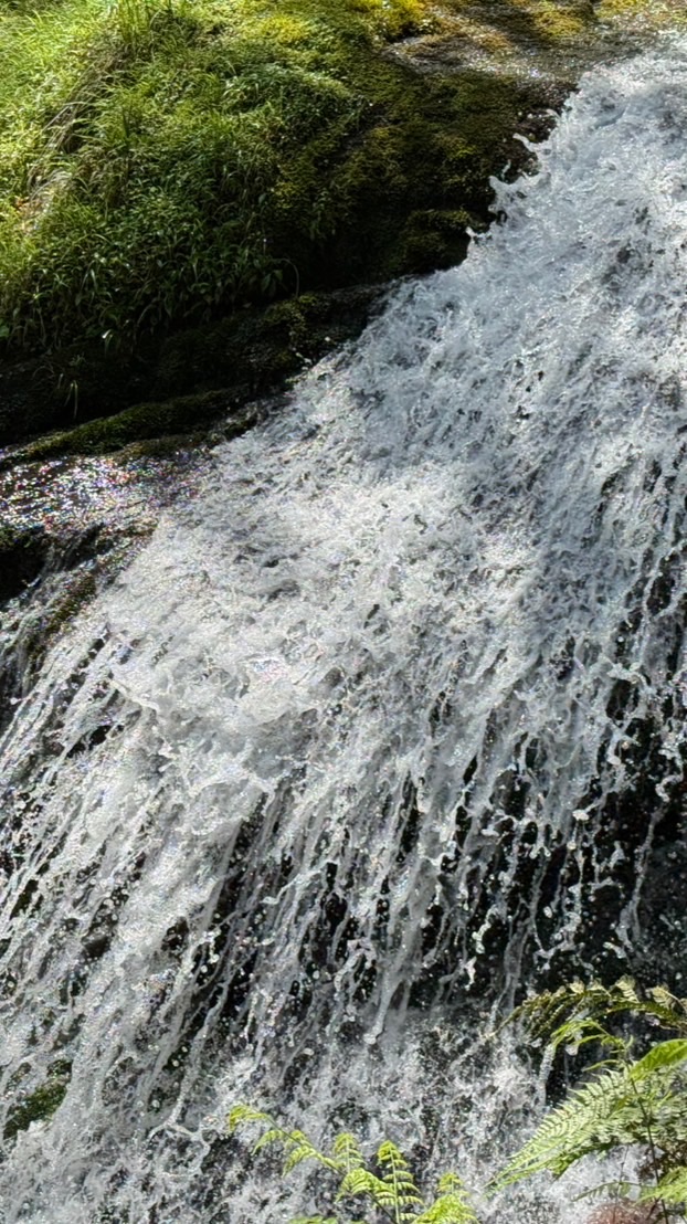 北勢湖狗公園帶狗登山同好會