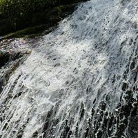 北勢湖狗公園帶狗登山同好會