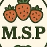 M.S.P. ขายส่ง