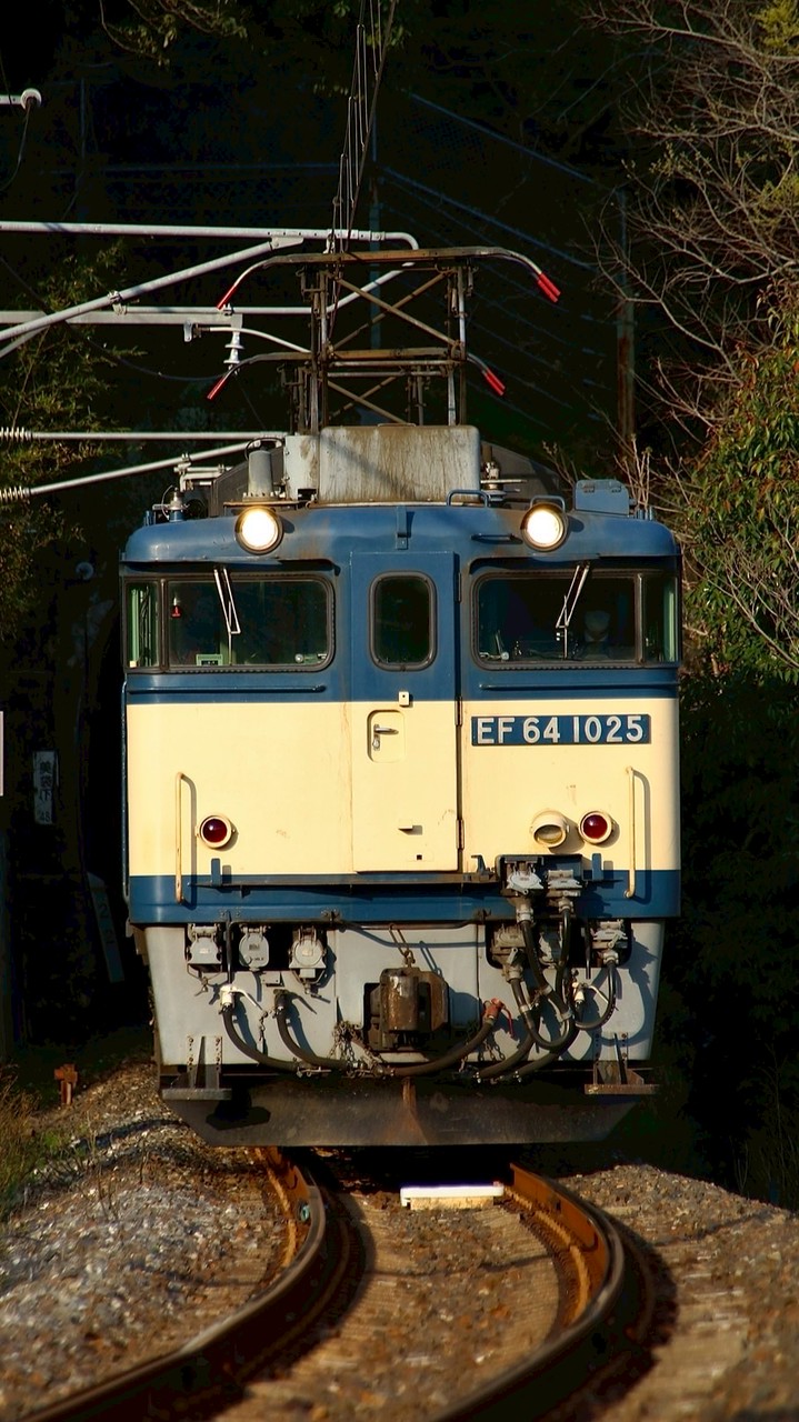 ㊗️10人🎉鉄道雑談とすじこーかい！