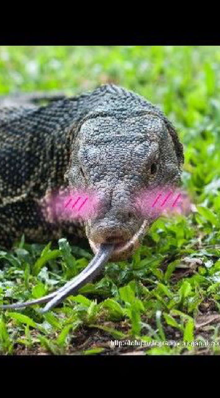 คน.....เหี้ย