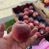 花花果