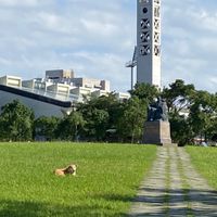 大學生Costco買起乃-A7