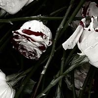 ❤︎終ワル単夢❤︎