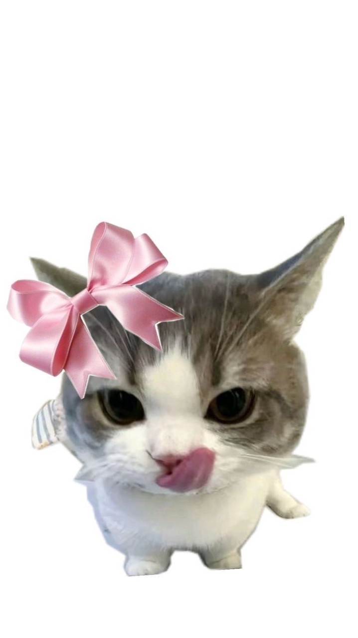 บอวอ