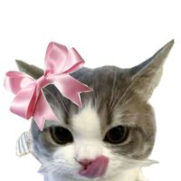 บอวอ
