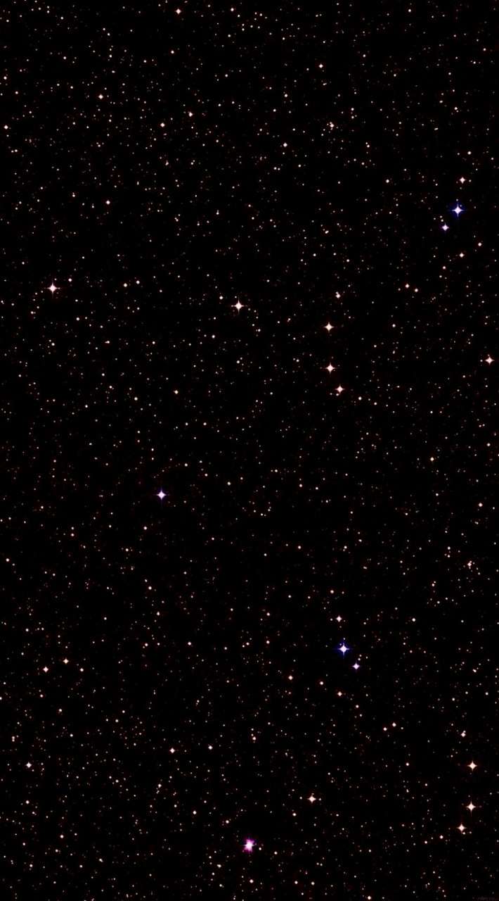 ✧･ﾟ: 𝐓𝐇𝐄 𝐋𝐀𝐒𝐓 𝐌𝐈𝐑𝐑𝐎𝐑 ✧･ﾟ