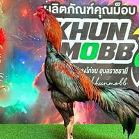 ฅ.เมือง Cham Farm  Udon🎯