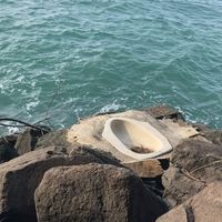 好了沒？好了嗎？