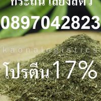 กระถิน วัตถุดิบเลี้ยงสัตว์