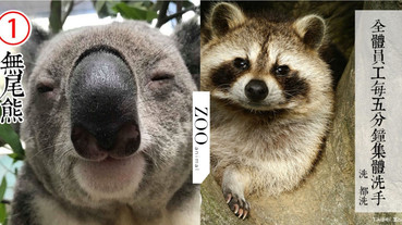 防疫動物也有責！台北市立動物園推出「超ㄎㄧㄤ動物防疫政見發表」，萌度破表啦！