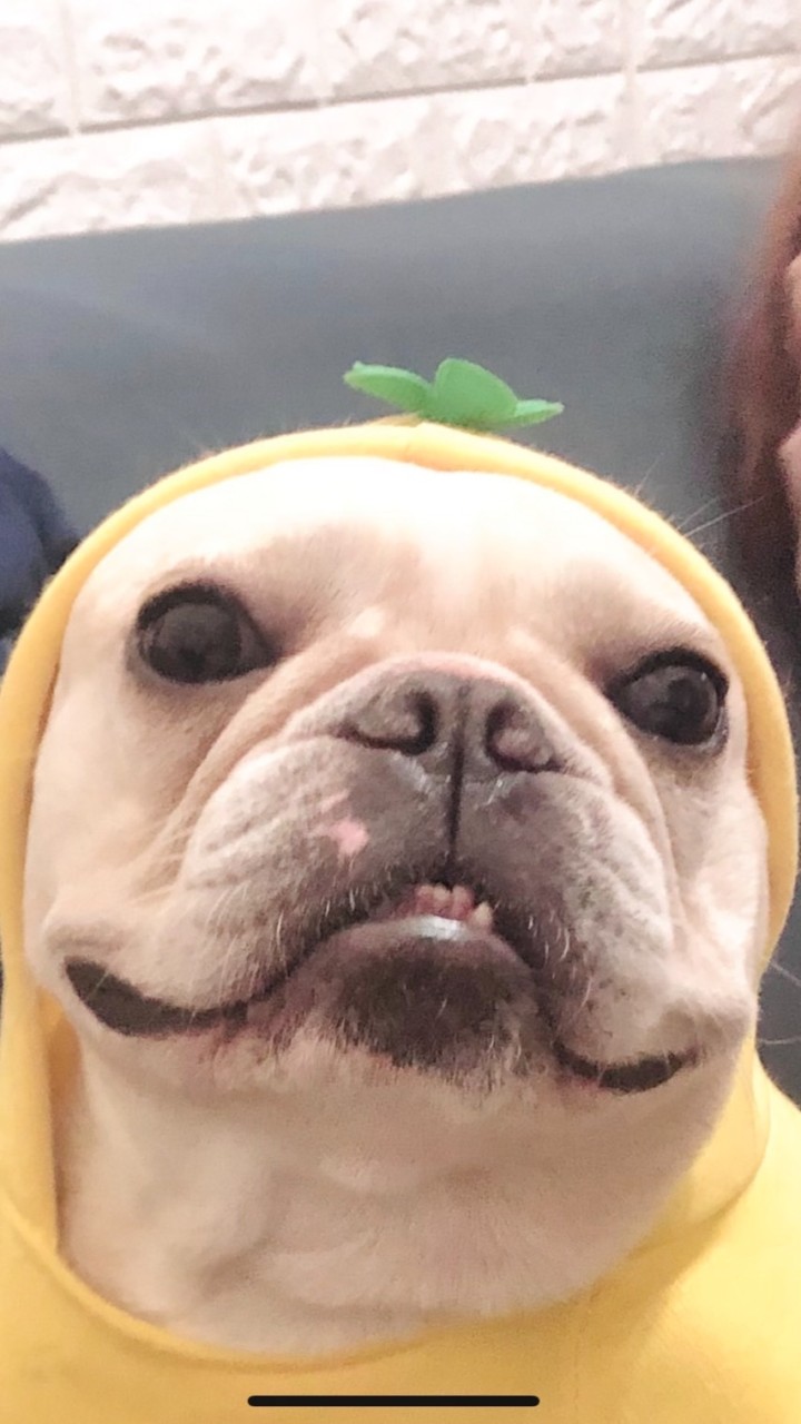 我們欠物理很多
