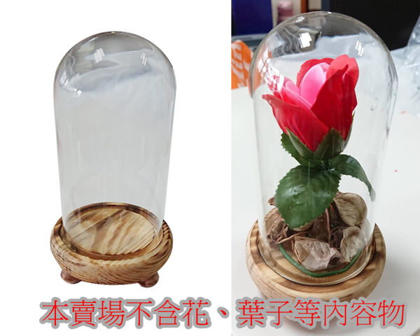 玻璃罩含木底座 另有永生花DIY禮物組合 情人節畢業禮品 可放乾燥花 展示品 美女野獸貝兒
