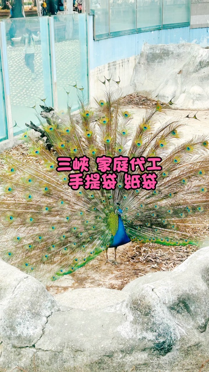 三峽 代工 手提袋。紙袋。