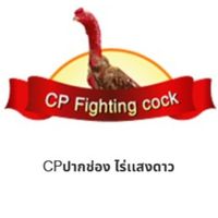 CPPAKCHONG ไร่เเสงดาว