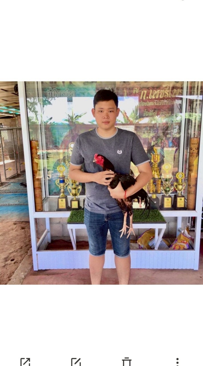 เเข้งคมสายคลอง🐔❤