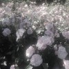韓国風．雰囲気．エモ画 オプ 𓈒ㅤׂㅤ𐙚 ࣪ 𓈒ㅤׂㅤ