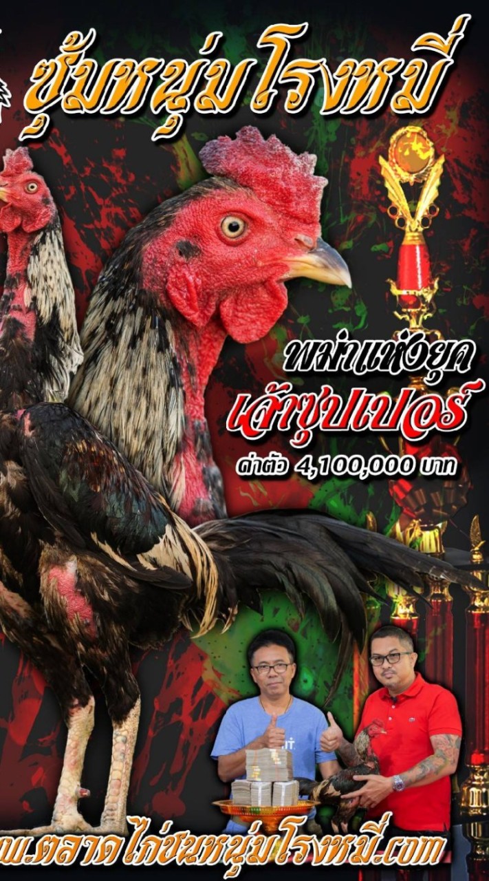 บ้านไร่ท่าบุญมี
