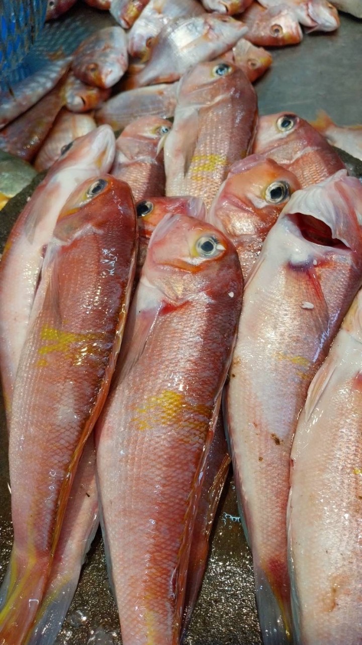 邱虱目魚專賣店