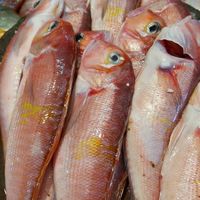 邱虱目魚專賣店