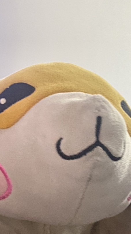 กลุ่มรักตุ๊กตาหมา(꧁⎝ 𓆩༺✧༻𓆪 ⎠꧂)กลุ่มเรียน