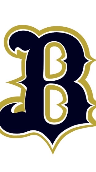 【オリックス・バファローズ全力応援団（実況付きだよ❣️）】
