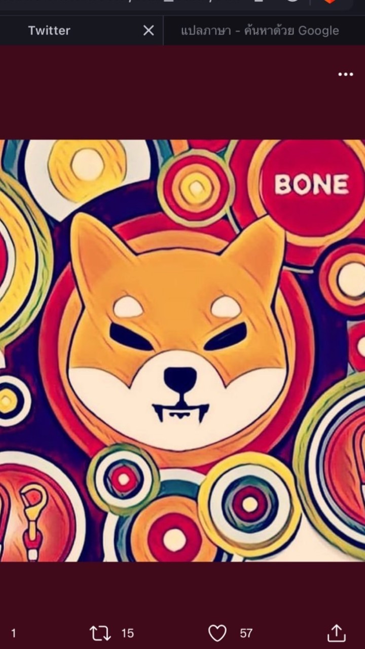 นักล่า SHIB INU