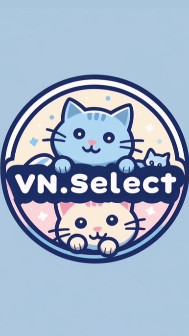 VN.select ₊⁺ ꒰১ ♡ ໒꒱ ⁺₊