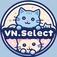 VN.select
