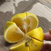光復大華社區柳丁黃媽媽