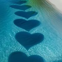 🌈靈魂設計~人類圖自學~零極限解鎖靈魂設計🌍