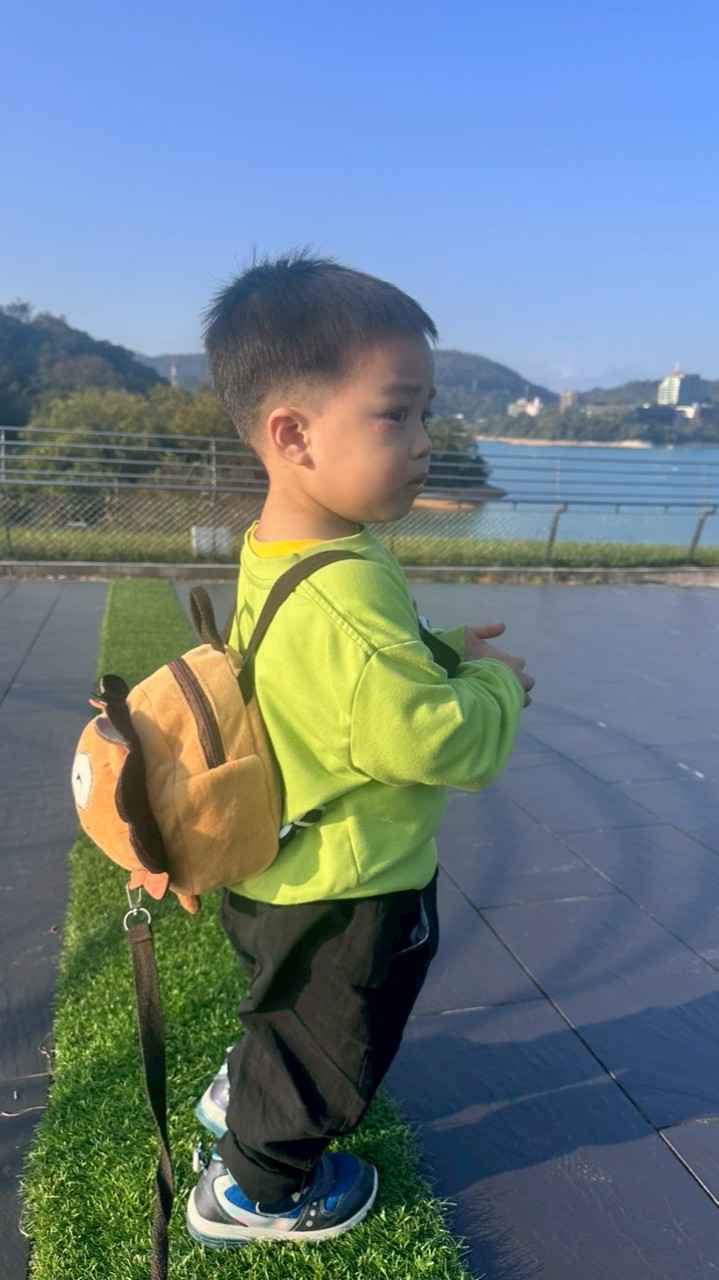 （新）寶貝家族