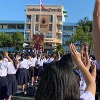 ประชาธิปไตยใต้ต้นจามจุรี