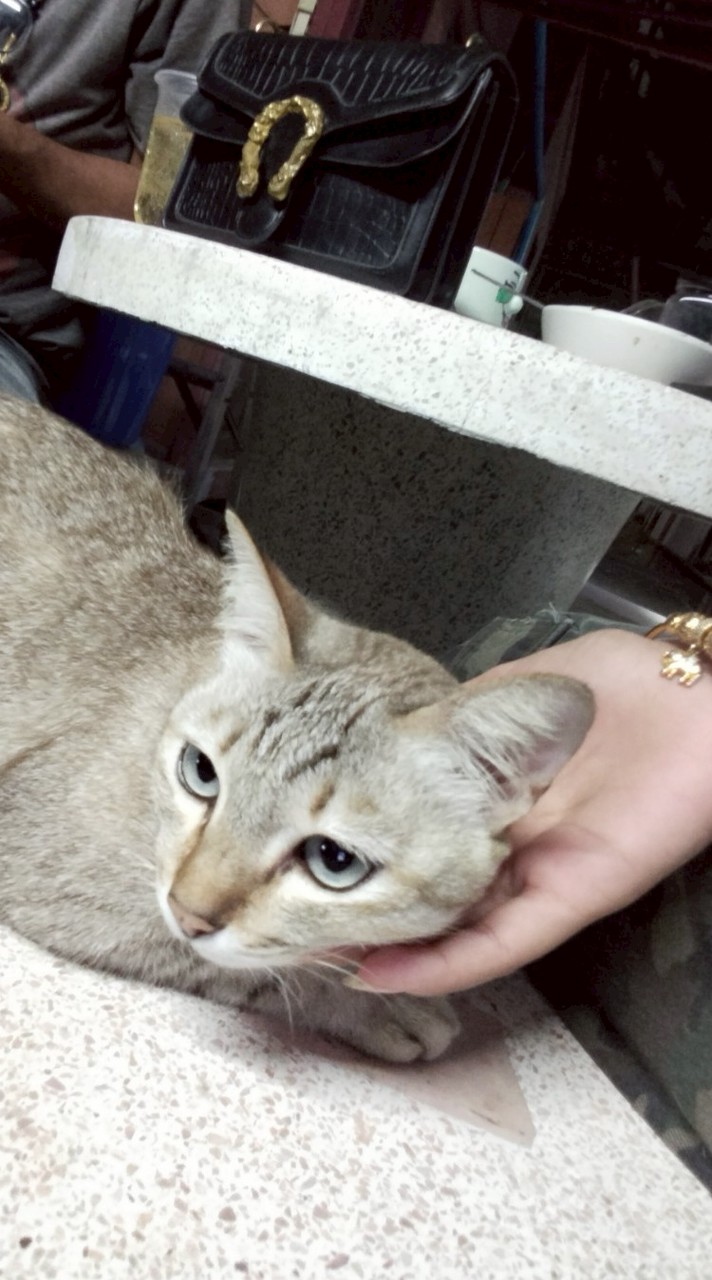 💞หาพี่ หาน้อง ดูแลกัน ระยะสั้น ระยะยาว 💞