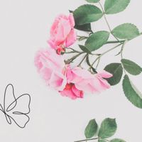 50代60代女性/ひとやすみ雑談