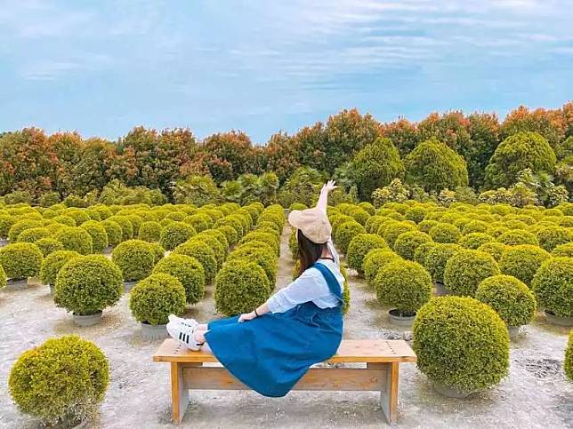 照片來源：IG @__hangon