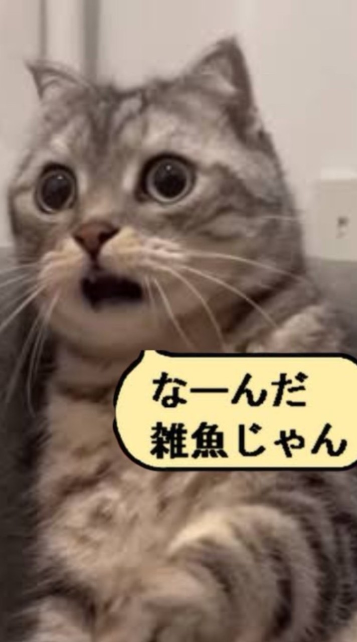 (´･_･`)ｶﾅ(´･_･`)ｶﾅ
