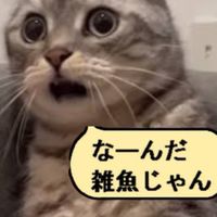 (´･_･`)ｶﾅ(´･_･`)ｶﾅ