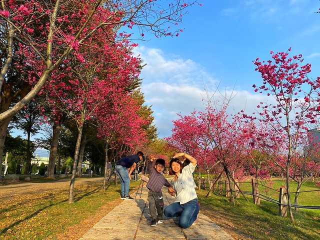 崴立機電櫻花公園